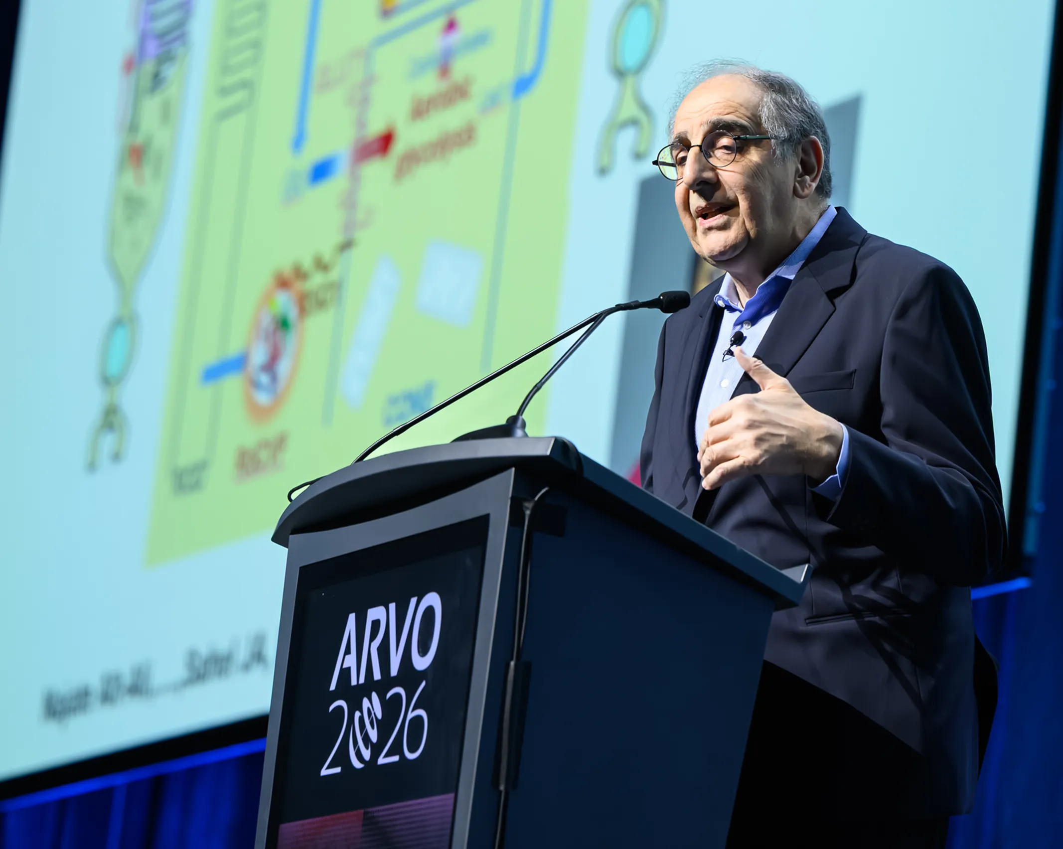Dr. Sahel at a podium delivering a talk to a large audience